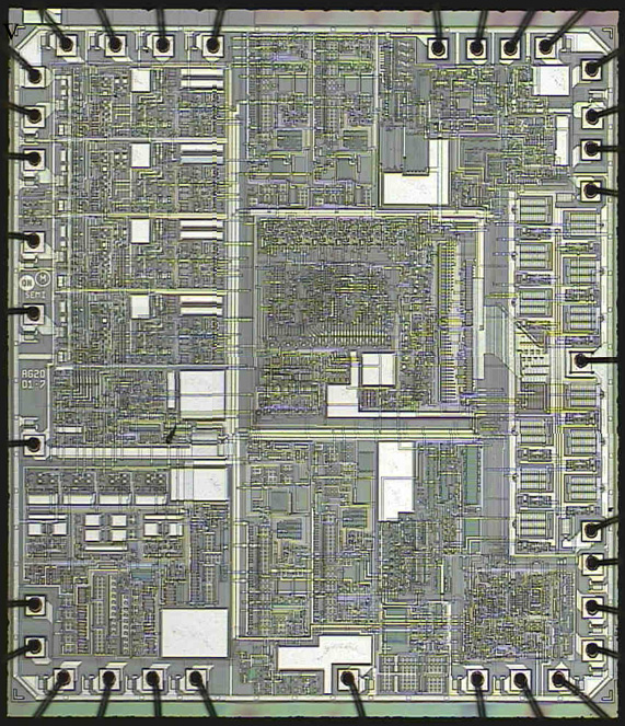 ICダイの全体像