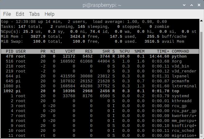 PythonプロセスがCPUの100%を占めているRaspberry Piのプロセス一覧