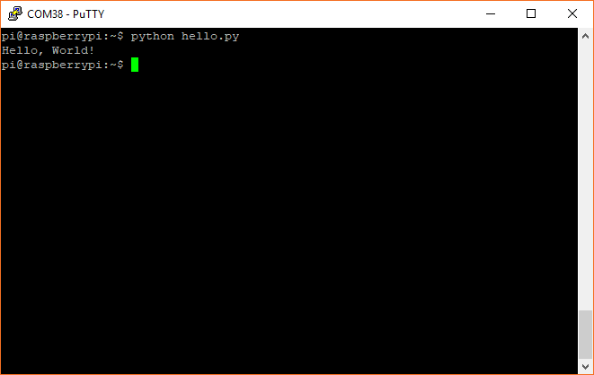 Raspberry PiでPythonプログラムを実行する