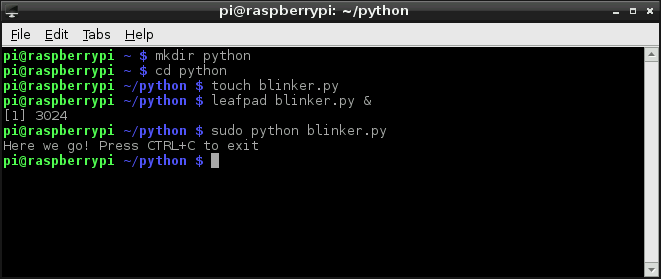 Pythonターミナルの実行例