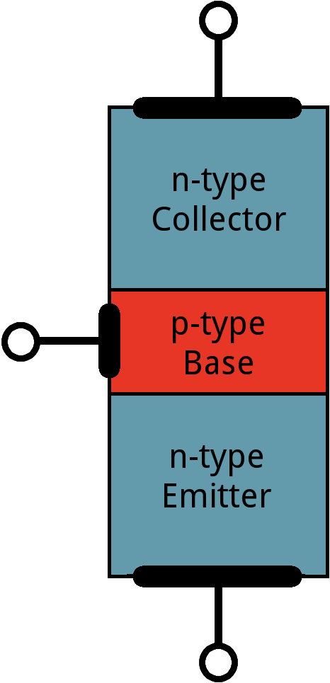 NPNの構造を単純化した図。略称の由来がわかるだろうか