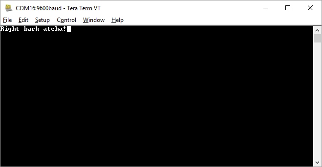 エコーされた文字が表示されたターミナルウィンドウ